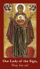 Our Lady of the Sign Prayer Card***BUYONEGETONEFREE***